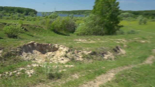 Сибирский попугай смотреть онлайн