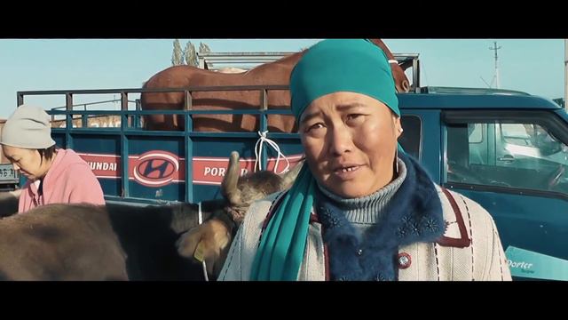 Уникальный проект "Подари Корову". Ротари Клуб Бишкек смотреть онлайн