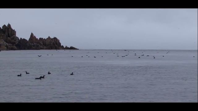 Море (Владивосток-Стенина-Сибирякова) смотреть онлайн