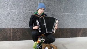 The Prodigy on bayan! (Omen) / Продиджи (Омен) на баяне! (Алексей Касперович)