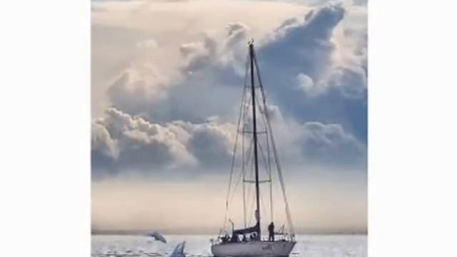 Копия видео "ОКЕАН АНИМАЦИЯ релакс музыка автор клипа Зоя Боур-Москаленко" смотреть онлайн