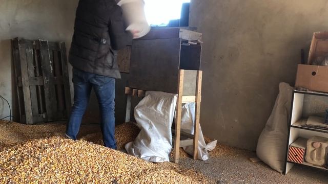 Собрал кукурузу, как сушить? Сушка кукурузы без сушылки? смотреть онлайн