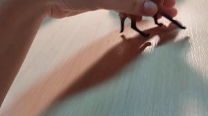 Обзор на мою стаю волков/фигурки шляйх волки/волк