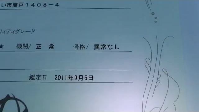 0297525535　Ｈ16年　ＥＫワゴン　管理ＮＯ24 смотреть онлайн