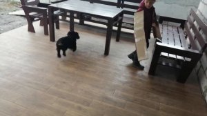 Научился летать!! Делаем крылья из картона.