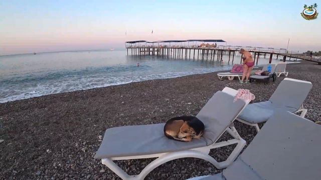 🇹🇷 Пляж Concordia Celes Hotel 5* Турция октябрь 2021г.