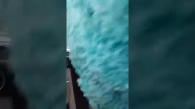 чистим люстру Варежка для уборки Гринвей Серия УЮТ смотреть онлайн