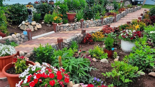 Сибирь. Хакасия. Шира. В гостях у цветовода - любителя! Обзор. смотреть онлайн