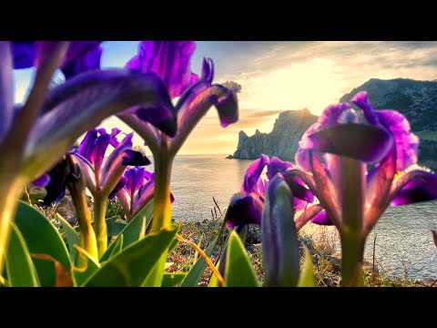 Вы не поверите но это КРЫМ. Безопасно ли сейчас ехать на ОТДЫХ? Что здесь посмотреть за ОДИН ДЕНЬ. смотреть онлайн