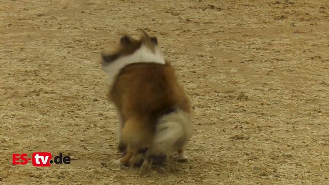 Tiertherapie Am Klinikum Esslingen