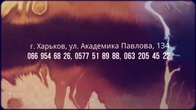 качественный устные письменные переводы художественных юридических Харьков, BrilLion-Club 4460