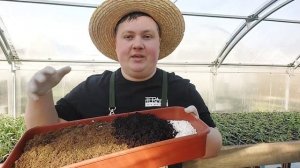 САЖАЕМ ПЕТУНИИ В КАШПО ТЕМА №4 БИЗНЕС НА ПЕТУНИЯХ ПРОСТО | БОРИС БОРИСОВ