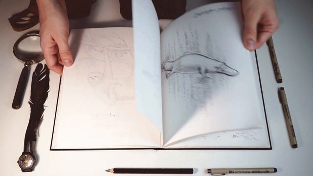 Мой скетчбук / 8 скетчбуков за последние 3 года / альбомы для рисования Canson one смотреть онлайн