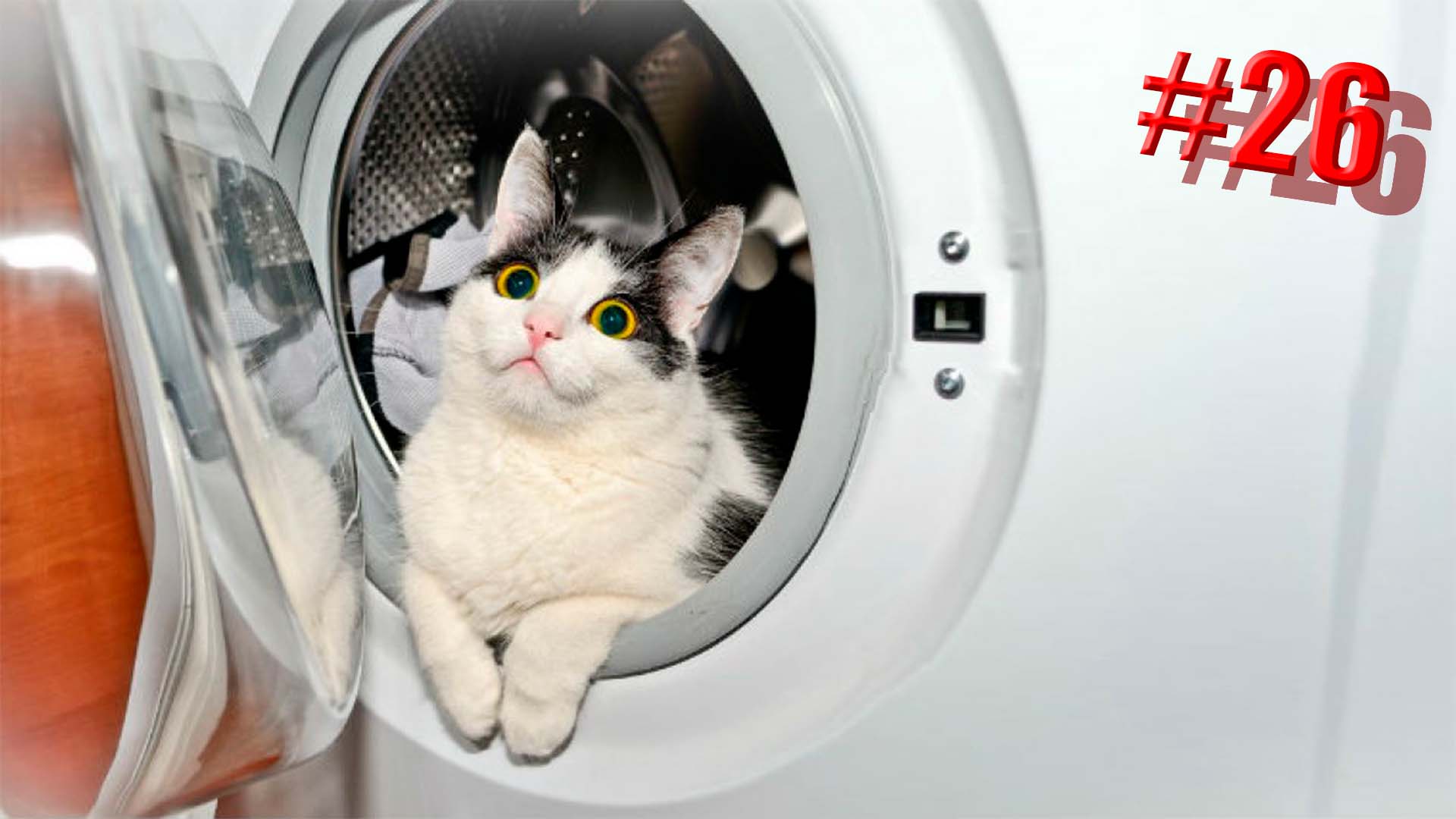 611 секунд Смеха ?? Смешных моментов | Милые котики Приколы с котами ?? Смешные коты #26 смотреть онлайн