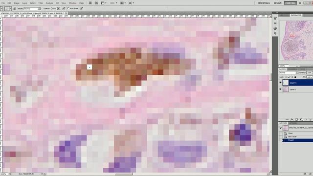 Tworzenie zdjęć referencyjnych z użyciem Photoshop PS5 - Podstawy смотреть онлайн