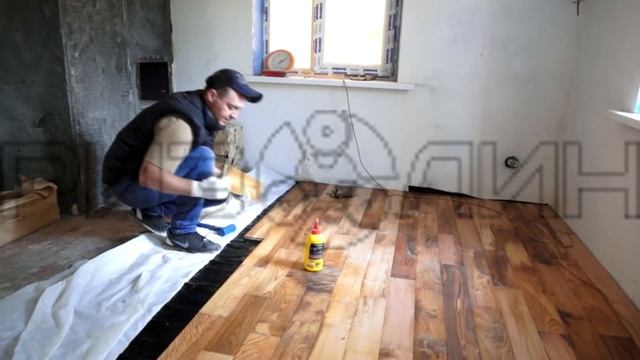 Устройство пола из массивной доски по РИЗОЛИНполу смотреть онлайн