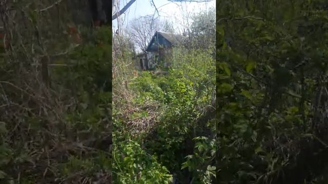 жена ворует цветы смотреть онлайн