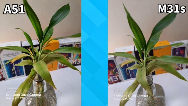 samsung galaxy m31s vs a51 camera | m31s vs a51 camera comparison hindi | смотреть онлайн