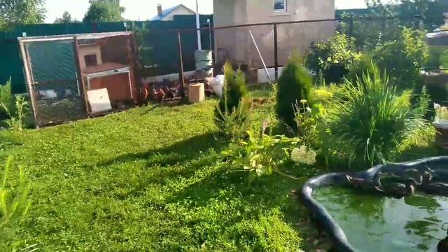 Дача Молчанова смотреть онлайн