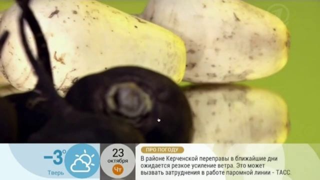 Кулинарные Приключения по Всему Миру