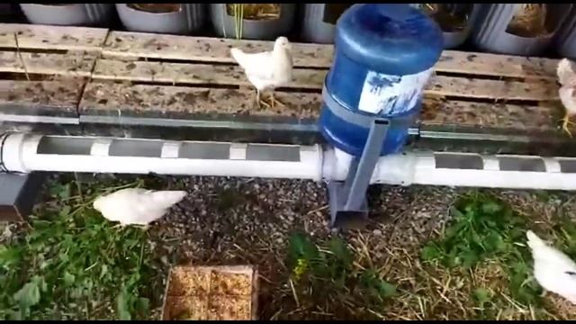 Строительные Журналы