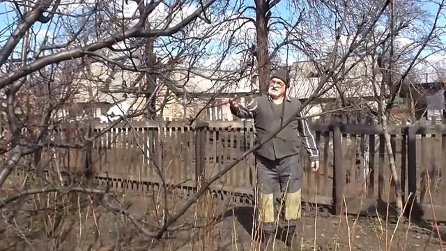 Где и как выбрать место для посадки саженцев. Место для посадки деревьев смотреть онлайн