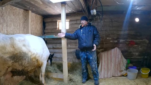 Решились на кардинальные перемены в деревенском хозяйстве!