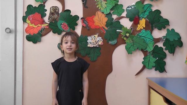 Панькина Злата, МАДОУ "Детский сад № 17", г. Хабаровск смотреть онлайн