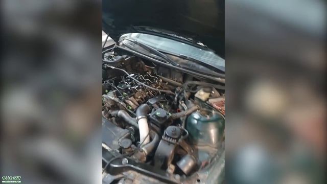 БУДНИ ДАНИЛА #1///Михеев и Павлов смотреть онлайн