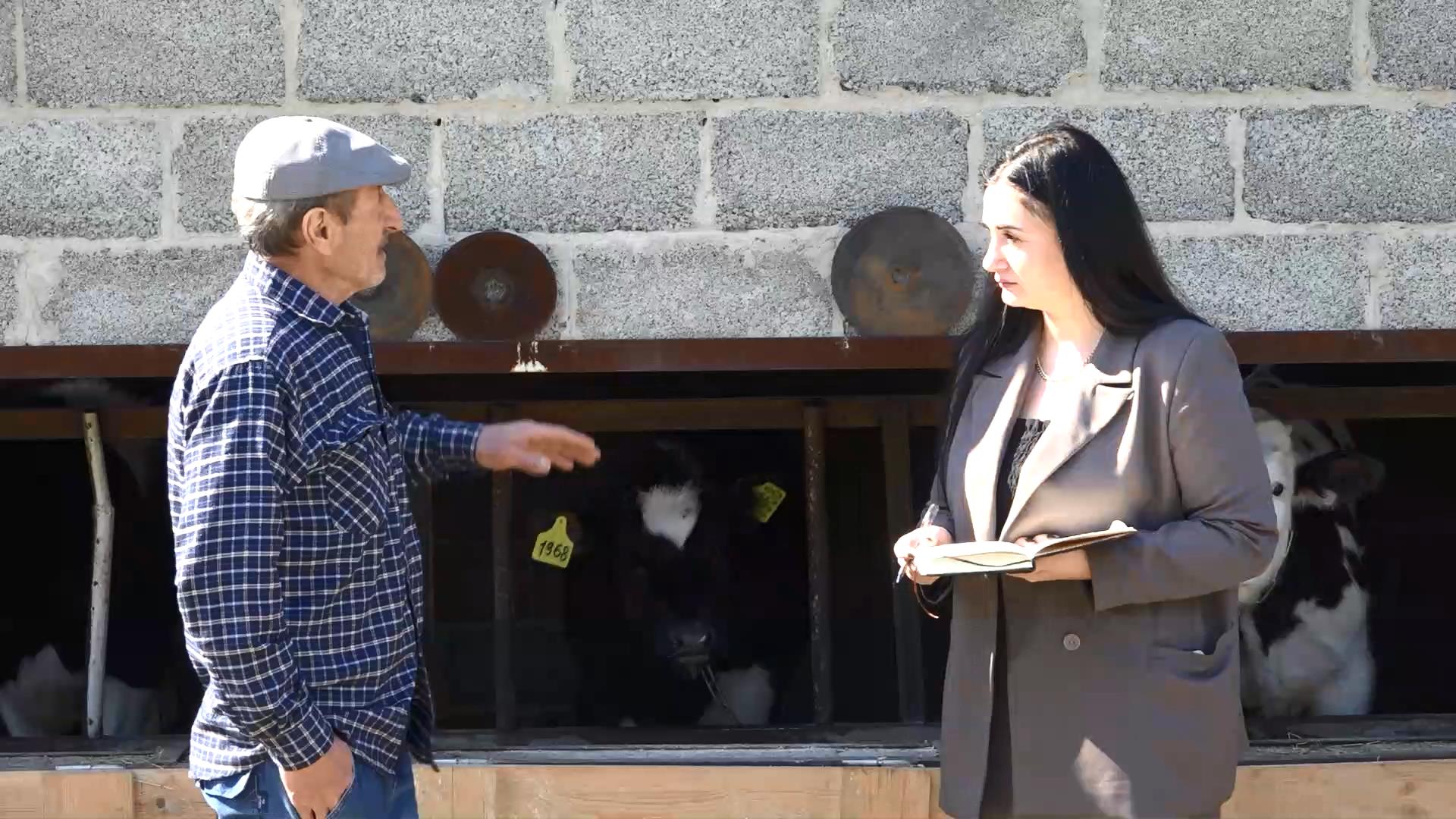 Соцконтракт на покупку бычков -отличная возможность для развития смотреть онлайн