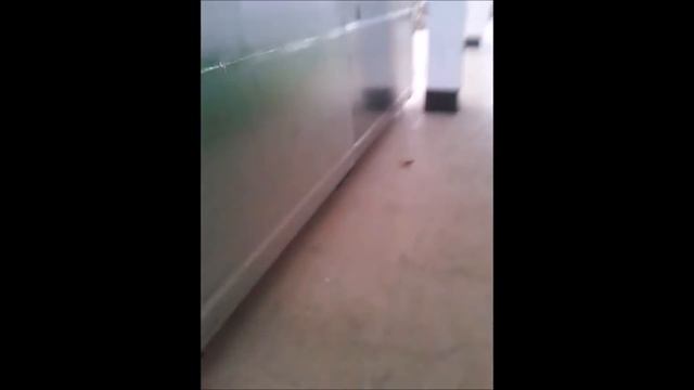 Suhar' - Холодильщики смотреть онлайн