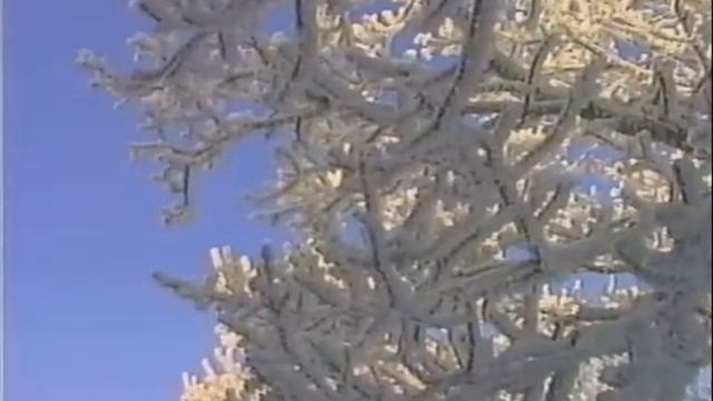 Gernrode - Ökologisches Erlebnistagungshaus - Werbefilm смотреть онлайн