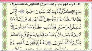 Шейх Айман Сувейд сура Бакара стр 46