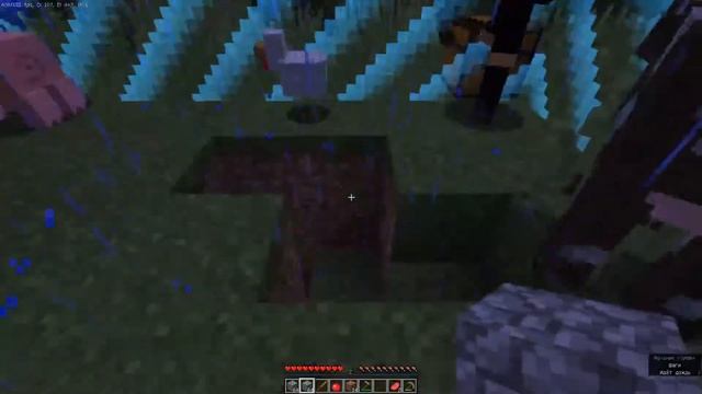 Minecraft 1.11.2 - Captive Minecraft