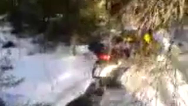Вывоз из ельника кабана смотреть онлайн