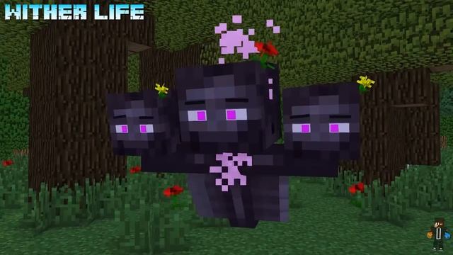 Top Minecraft Life 2017 I - Minecraft Animation смотреть онлайн
