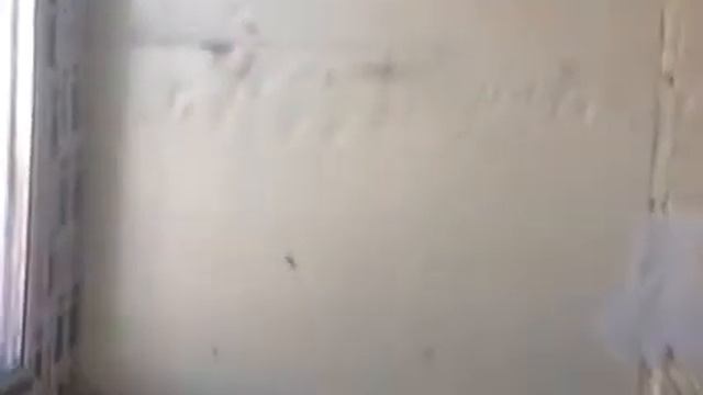 Черновая отделка квартиры в Подольске смотреть онлайн