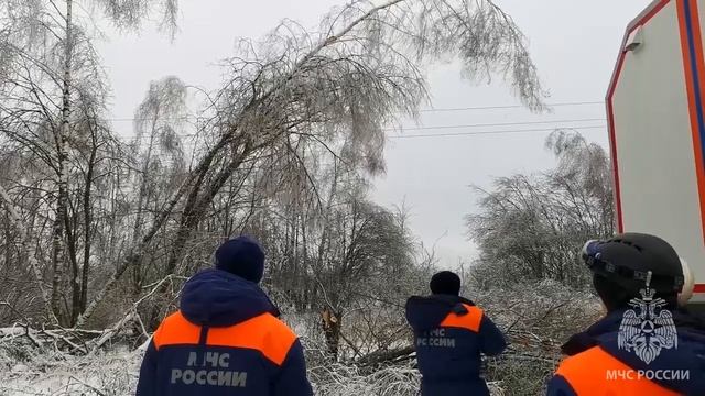 Пожарные и спасатели участвуют в расчистке линий электропередач смотреть онлайн