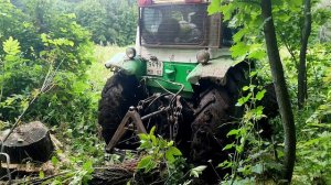 Поездка в лес на Юмз 6 с пвм, деляна