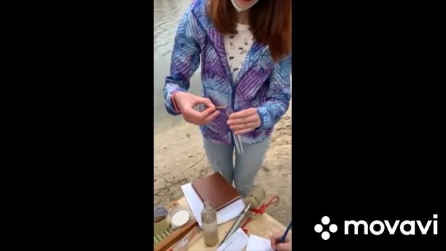 Органолептичний аналіз води річки Уди. смотреть онлайн