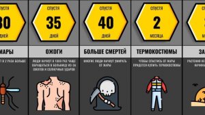 Что Если Бы Наступило Вечное Лето...