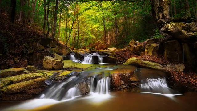 Мимо текла,текла река смотреть онлайн