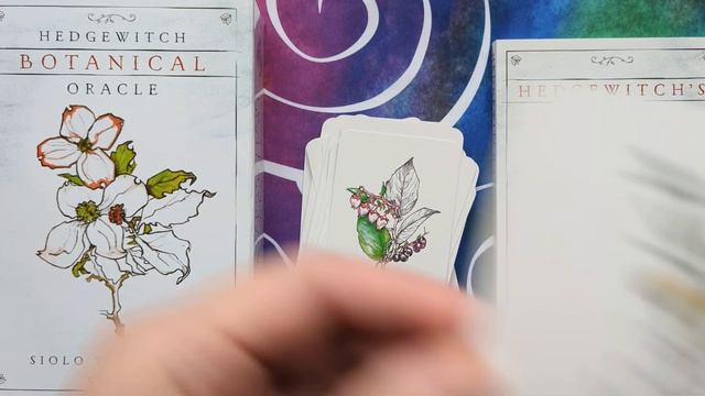 Hedgewitch Botanical Oracle - Silent Flip-through смотреть онлайн