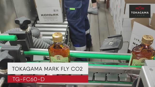 Лазерный маркиратор Tokagama Mark FLY СО2 TG-FС60-D
