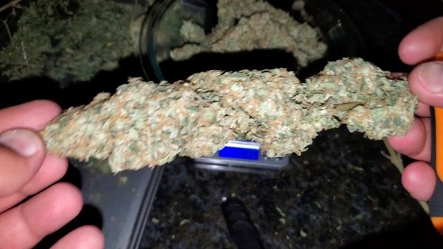 2x2 Grow Tent Mars Hydro SP150 2 grams a watt challenge Final weigh in , Harvest part 3 смотреть онлайн