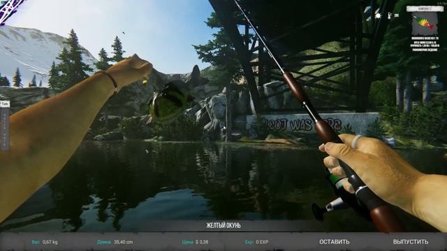 Ultimate Fishing Simulator 2 РЕЛИЗ 2022 - Первый взгляд / Обзор / Геймплей смотреть онлайн
