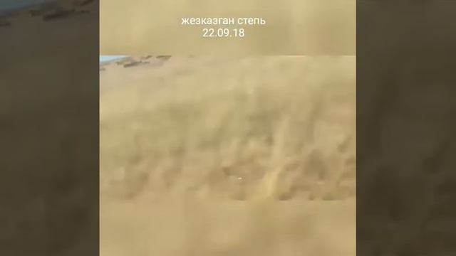Жезказган степь Сайгак смотреть онлайн