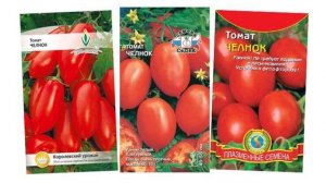 Характеристики и описание томатов сорта Челнок