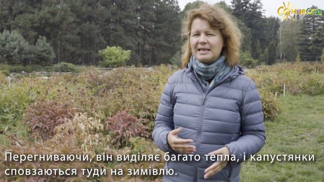 Здоров’я півоній: способи боротьби зі шкідниками ❗ смотреть онлайн