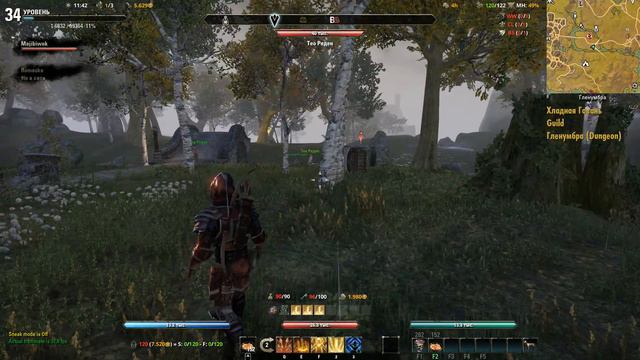 The Elder Scrolls Online - аддоны и их полезность смотреть онлайн